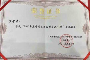 爱游戏网页版注册（中国区）官方网站
集团罗宁弟董事长荣获“2019年度番禺区成长型企业人才”