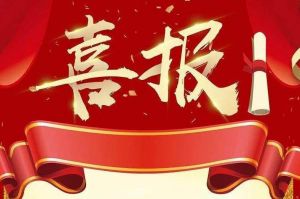 关于2022年度人力资源服务评选结果的通报，祝贺爱游戏网页版注册（中国区）官方网站
集团