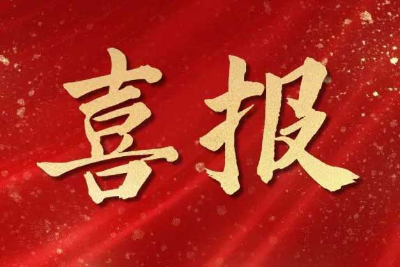 喜报！爱游戏网页版注册（中国区）官方网站
集团获首批人力资源服务机构能力指数5A等级