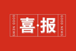 喜报！爱游戏网页版注册（中国区）官方网站
集团党支部书记、总裁陈文舒荣登“2024人力资源服务机构100人”榜单