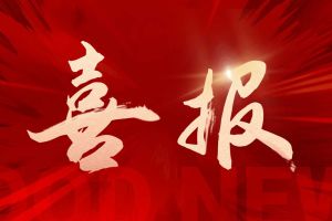 喜报！爱游戏网页版注册（中国区）官方网站
集团荣获“2025年度人力资源优质服务商”